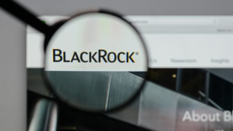 Investors fear BlackRock will dump these two cryptocurrencies