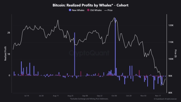 Newbie Bitcoin Whales Capitulating, But Old Hands Stay Silent