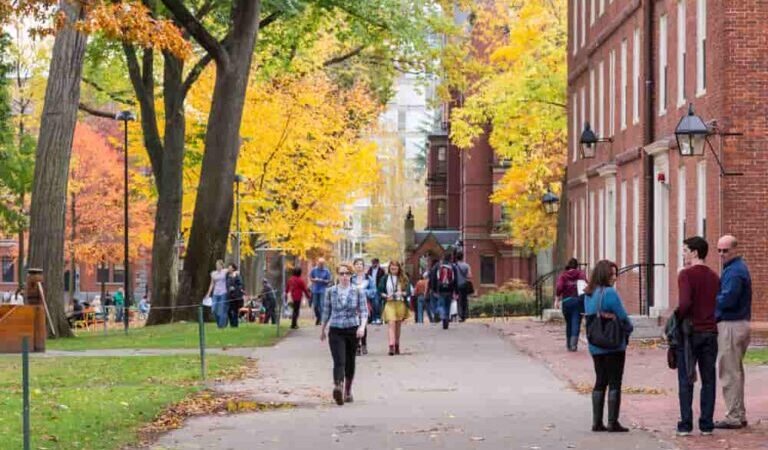 Here’s Harvard University’s updated Bitcoin portfolio 