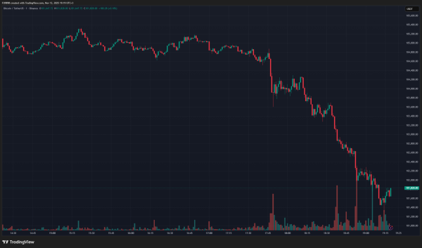 Bitcoin Plunges Sharply Again – Here’s Why and the Latest Data
