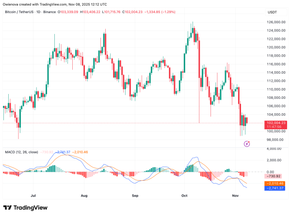 Bitcoin Bounces From $100,000 — Bullish Reversal Or Another Trap?1