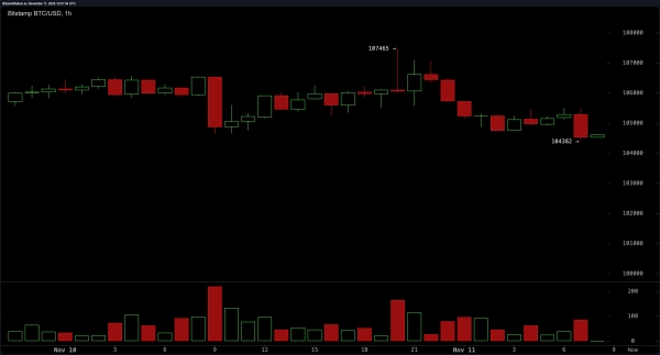 Bitcoin Price Watch: Resistance at $107K Holds as Bulls Lose Steam2