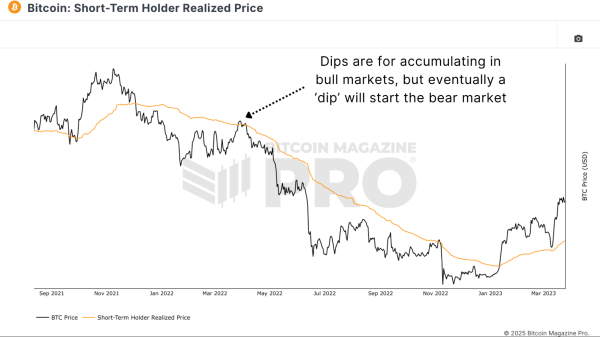 Bitcoin Price Dip Or New Bear Market?