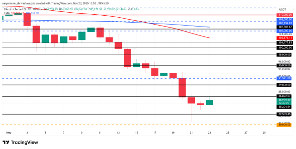 Did Bitcoin Just Bottom Out? What the Data Says About a Rebound2
