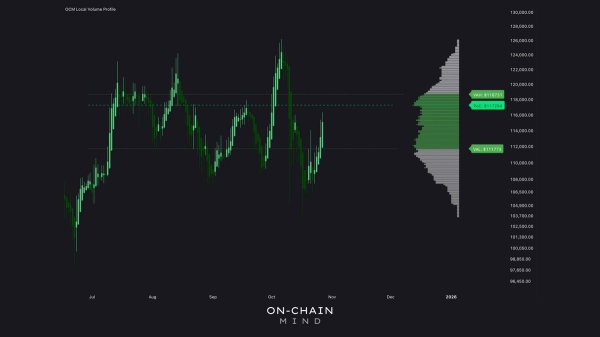 Bitcoin Point Of Control Sits At $117K – Key Battle Zone For Bulls