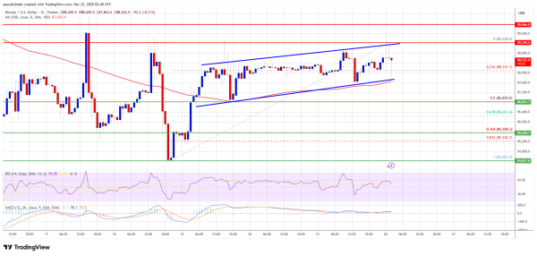 Bitcoin Price Recovery Faces Crucial Test at Major Resistance Zone