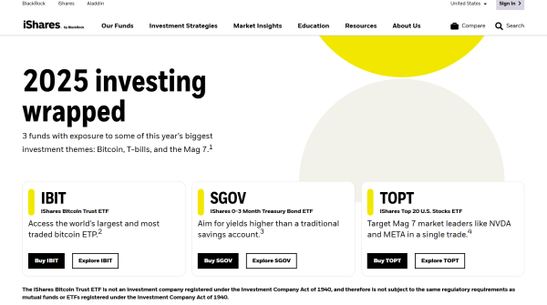 BlackRock calls Bitcoin one of the biggest investment themes of the year