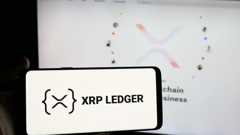 XRP Ledger’s circulation velocity spikes to highest level in 2025