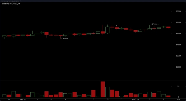 Bitcoin’s Big Squeeze: Bulls and Bears Brace for a Breakout Brawl2