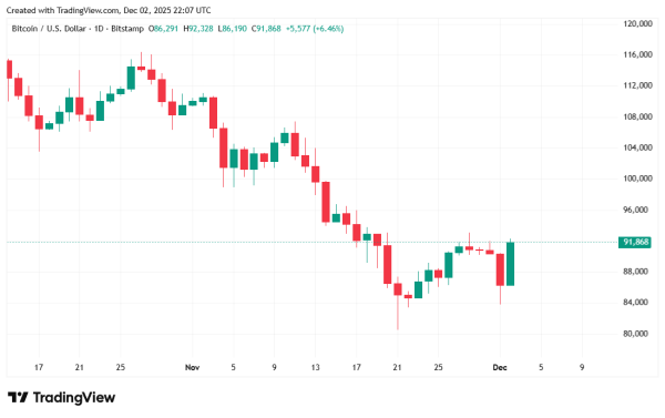 Irrational Pessimism: Have Bitcoin Investors Gone Mad?2