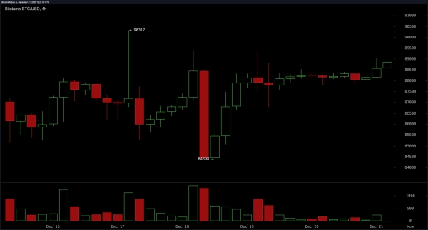 Crypto Crossroads: Bitcoin's Price Battle Between Resistance and Rebound1
