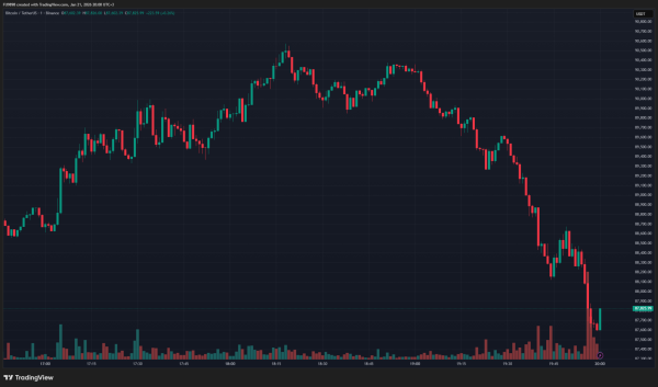 Bitcoin Experienced a Sudden Drop Despite Donald Trump’s Speech – But Why? Here Are the Data