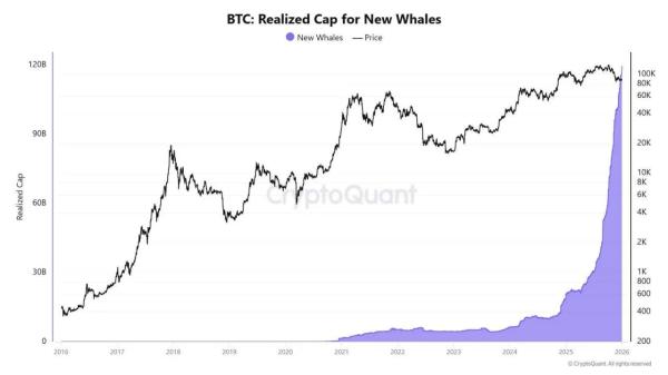 Bitcoin Price Prediction: $120B Whale Cost Basis Grows as RSI Drops