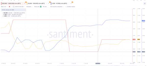 Bitcoin Rebound Stalls at 4% as Rate-Cut Mood Dominates ETF Buzz — What’s Next For Price?2