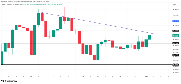 Bitcoin Hovers Below $90,000 as $4.4 Billion in Whale Selling Builds Pressure2