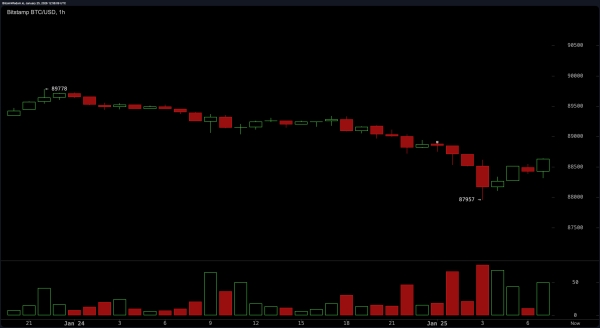 From Boom to Whimper: Bitcoin Slides Into Bearish Territory2