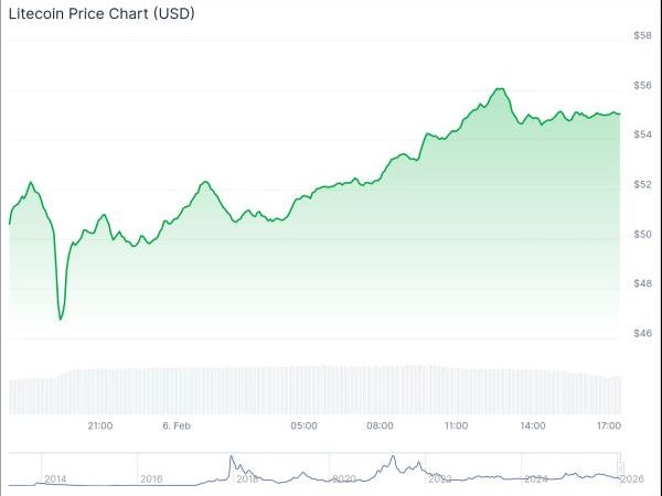 What’s surging Friday? Bitcoin, Litecoin lead the crypto rebound