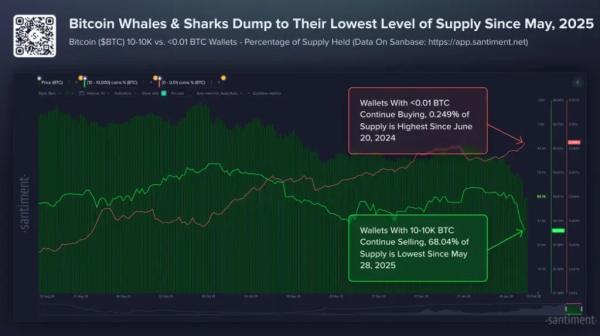Bitcoin Whales Hit 9-Month Low Supply Control; is $60k Breakdown Next?