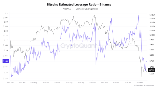 Bitcoin Market Resets With 28% Deleveraging — What Next?