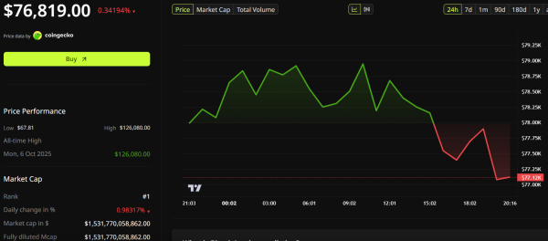 Bitcoin’s Sell-Off Reveals Deep Market Divides: Opportunity or Structural Vulnerability?0