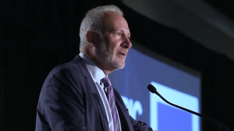Economist Peter Schiff warns Bitcoin faces crash to $20,000