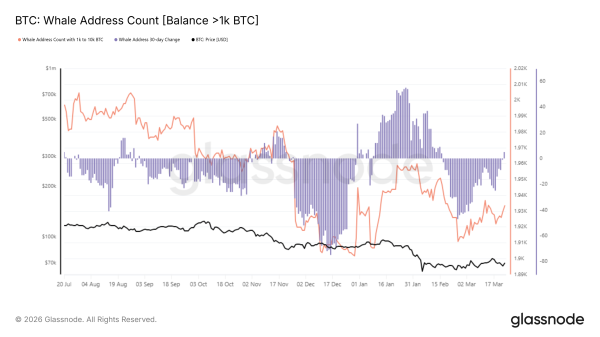 Bitcoin Gambler Faces $46 Million Liquidation, But Price Could Turn Before It Happens