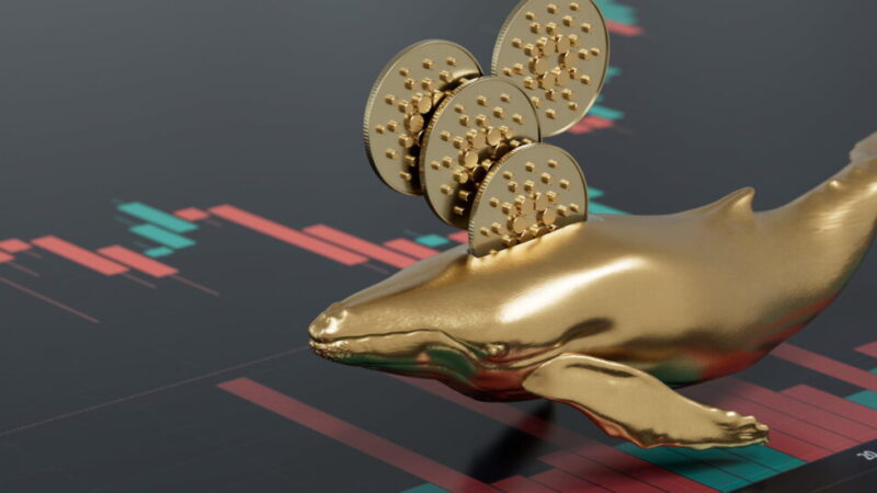 Cardano whales unleash massive ADA sell-off