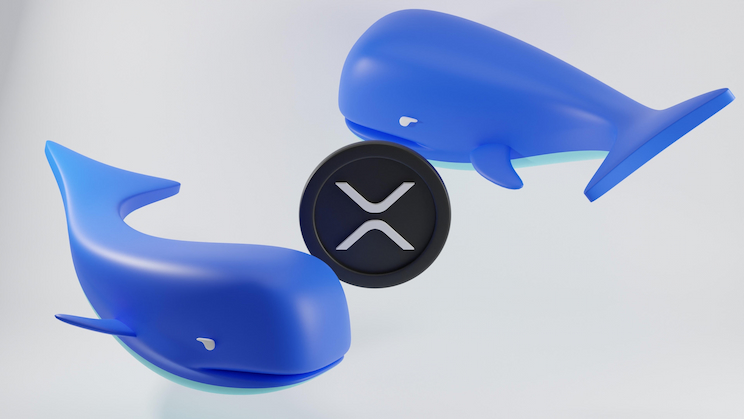 XRP accumulation spikes as whales grab 200m tokens in 2 weeks
