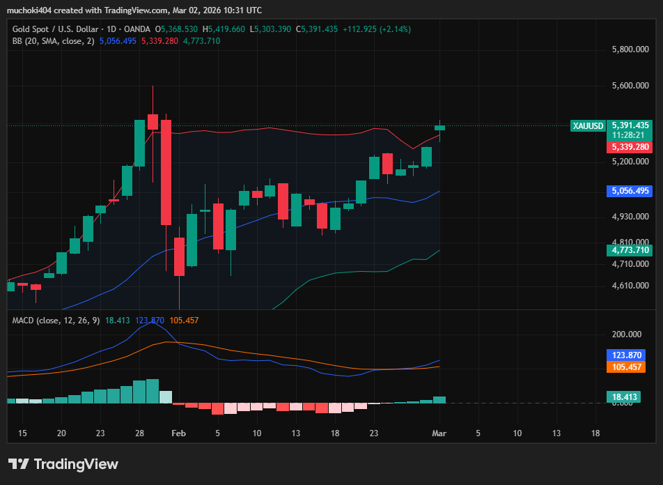 Gold (XAU/USD) daily chart