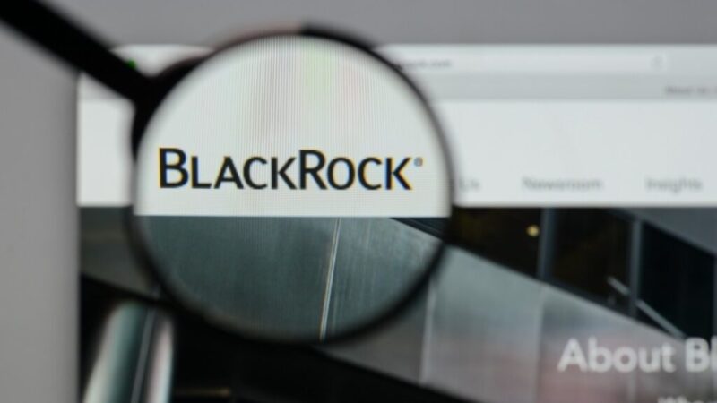 BlackRock just bought $250 million of these two cryptocurrencies
