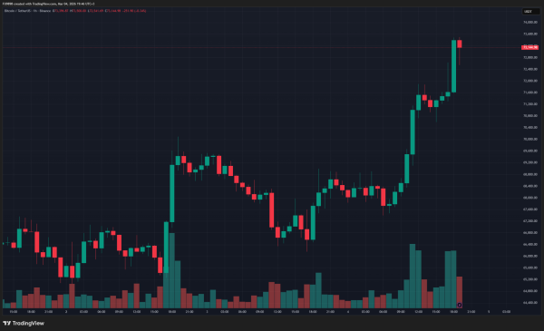 Bitcoin Price Continues Strong Recovery: We’ve Surpassed $73,000 – Here’s the Reason for the Rise and the Data