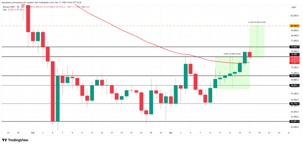 Bitcoin Price’s Rise To $80,000 Requires 8% Rise: Can BTC Make It?2