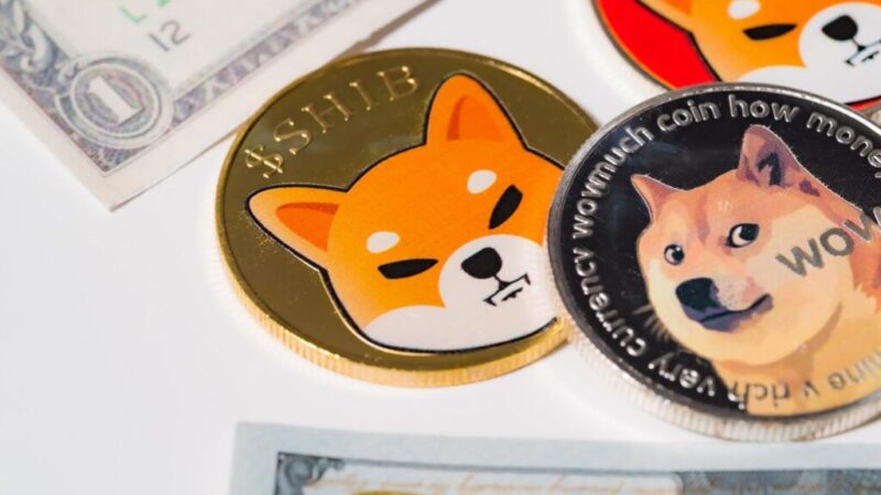 Are Shiba Inu and Dogecoin a good buy in March?