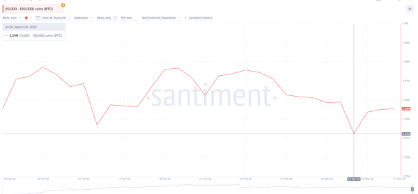 Bitcoin Whales Trapped at the $74,000 Top? Hints of an Escape Plan Emerge1