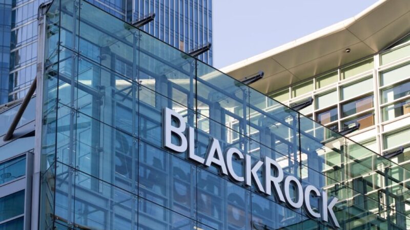 BlackRock starts the week with outflow of these two cryptocurrencies