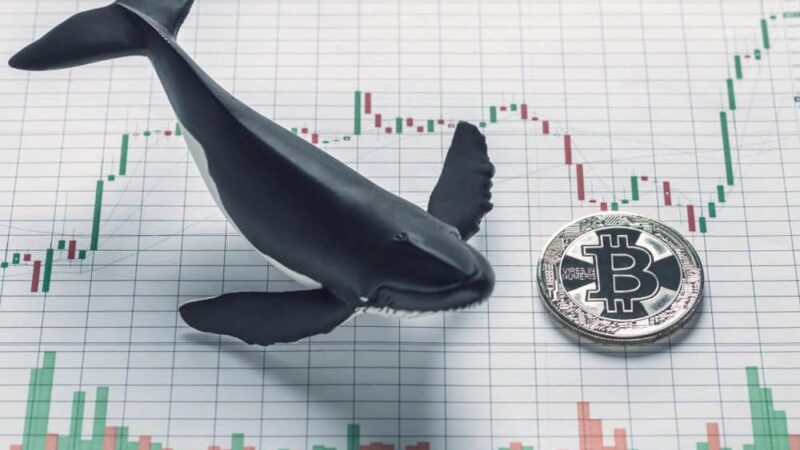 Bitcoin price prediction as whales acquire 10,000 BTC