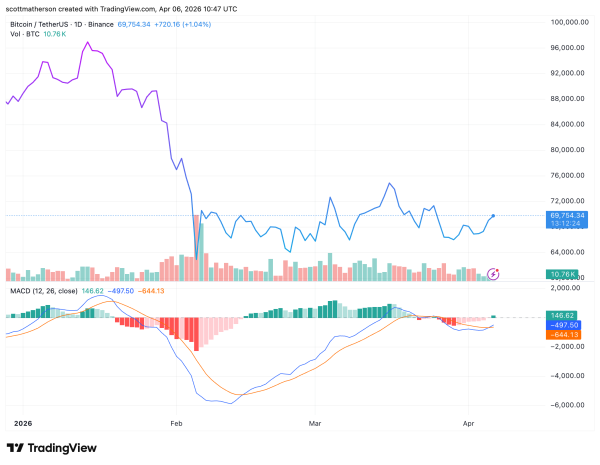 Analyst Reveals How To Trade The Bitcoin Cycle, Predicts When Price Will Hit $215,0001