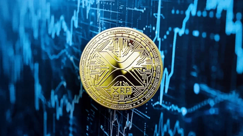XRP rises as leverage spikes across derivatives markets