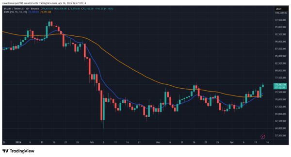 Bitcoin Price Breaks Higher: What The Market Data Says Could Happen Next
