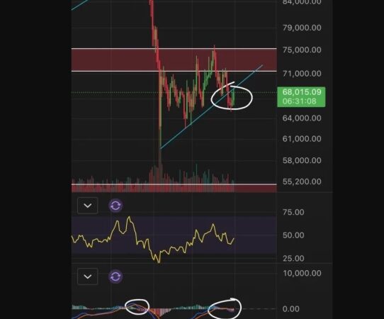 Bitcoin faces renewed downward pressure as geopolitical risks and U.S. jobs data weigh on markets