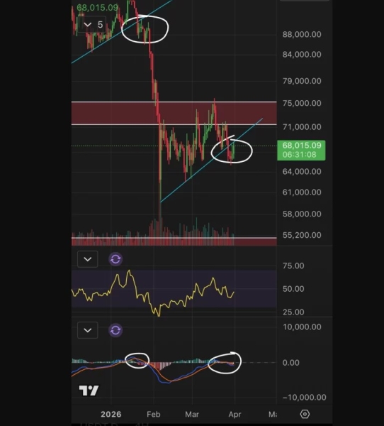 Bitcoin faces renewed downward pressure as geopolitical risks and U.S. jobs data weigh on markets0
