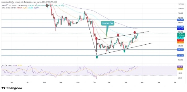 Bitcoin Price Rally Faces Critical Test at $80K as FOMO Peaks1