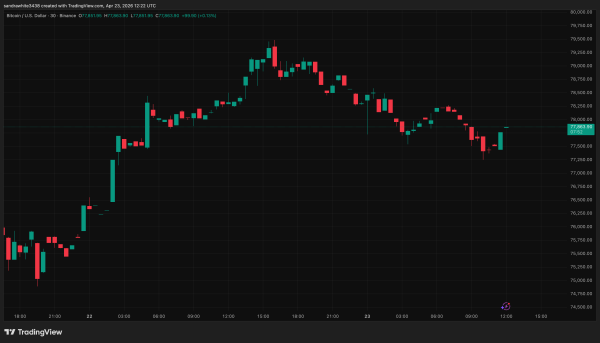 The Bitcoin Cycle Is Different: Crypto Expert Reveals When Price Will Cross $100,000 Again