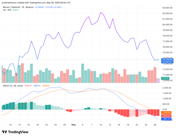 Analyst Compares This Bitcoin Bear Market To Previous Cycles To Show What’s Coming Next
