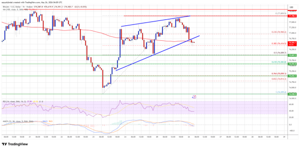 Bitcoin Price Recovery Looks Fragile, Another Drop May Follow Soon