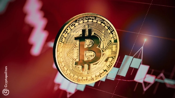 Bitcoin sees sudden price crash below $77,000