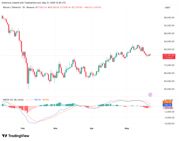 Bitcoin Uptrend Remains Alive Despite Bearish Pressure Below ,800