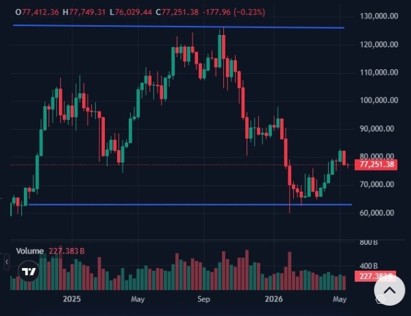 Bitcoin Whales Defy K Drop as Large Wallets Surge 11%