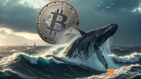 Bitcoin whales scoop 4,527 BTC in 24 hours – Will $84.9K be next?