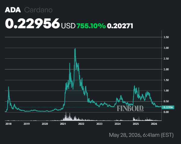 Cardano millionaire wallets hold record ADA since December 2017